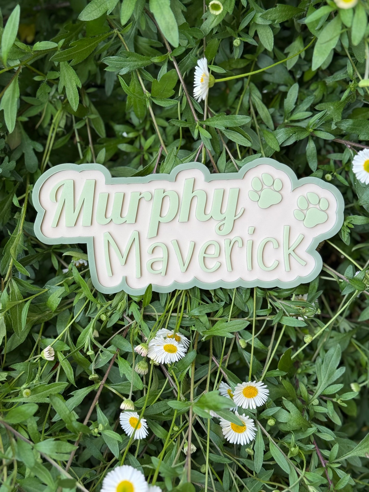 Pet name plaque