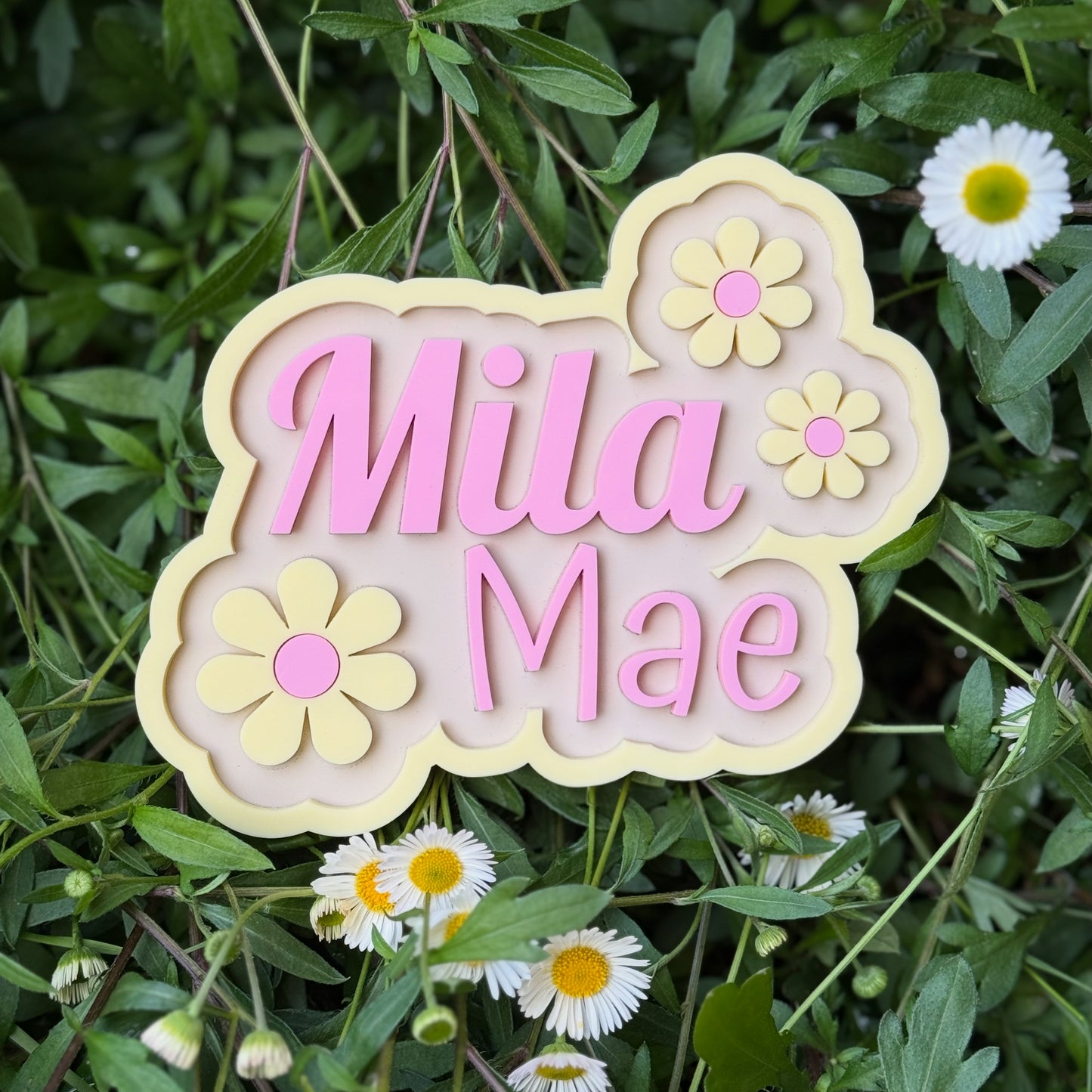 Pet name plaque